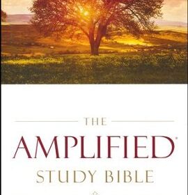 The Amplified study Bible