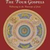 The Four Gospels Following the Footsteps of Jesus by Maurice Hogan SSC