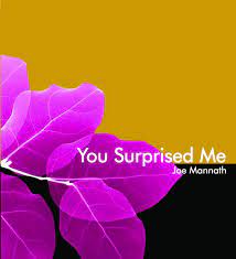 You Surprised Me by Joe Mannath