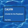 Calvin - A Guide for the Perplexed