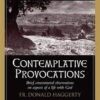 Contemplative Provocations - Brief Concentrated Observations on Aspects of Life with God