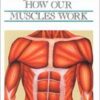 How our Muscles Work - Invisible World