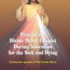 Praying the Divine Mercy Chaplet during Adoration for the Sick and Dying