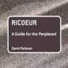 Ricoeur - A Guide for the Perplexed