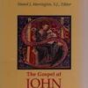 Sacra Pagina: The Gospel of John (Volume 4)