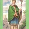 St. Patrick Novena and Prayers