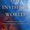 The Invisible World