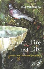 Thorn, Fire and Lily - Gardening with God in Lent and Easter