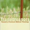 Transgressors - Towards a Feminist Biblical Theology