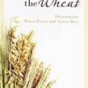 Weeds among the Wheat