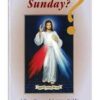 Why Mercy Sunday? - A Q&A Guide to Celebrating Mercy Sunday by Rev. George W. Kosicki